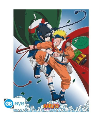 PÓSTER NARUTO - PACK DE 2
