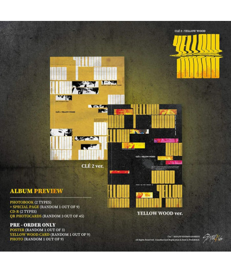 CD Stray Kids - Clé 2: Yellow Wood (Normal Edition) - Stray Kids - Clé 2 / Yellow Wood Ver. - El Viaje Continúa