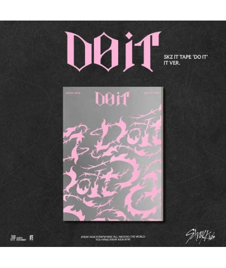 CD Stray Kids - DO IT (SKZ IT TAPE) - IT Ver. - Stray Kids - Edición Limitada - Estética Pink & Grey