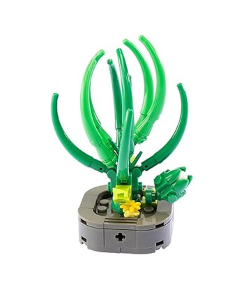 SET CONSTRUCCION Exotic Plants Planta Fabuca Spiralis