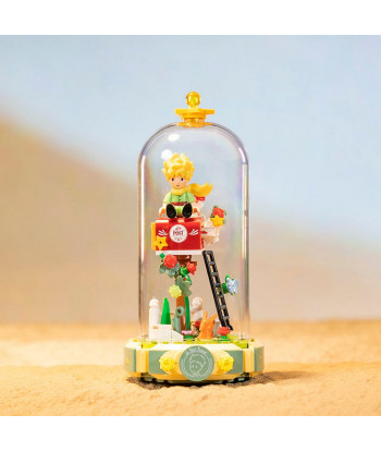 Set de construcción El Principito, Buzón de deseos