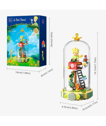 Set de construcción El Principito, Buzón de deseos