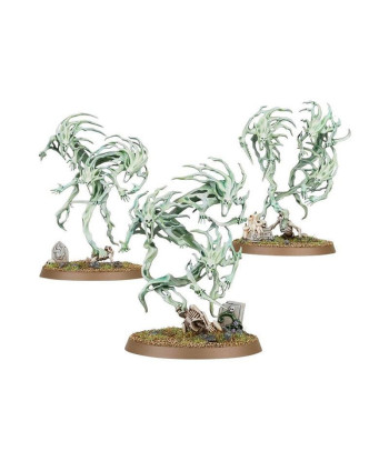 Warhammer Age of Sigmar: Nighthaunt Spirit Hosts
