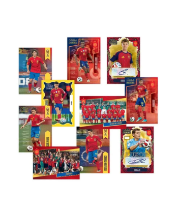 Collector Box - Tributo ¡VAMOS CAMPEONES! 2010-2026 - Panini Cromos