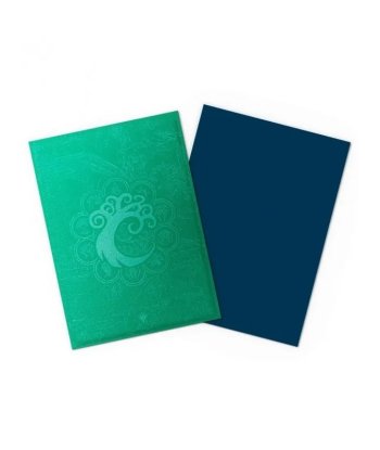 Fundas Dragon Shield Standard Matte Simic Combine Magic: The Gathering (100) - Guildpact Series