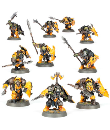 WARHAMMER AGE OF SIGMAR REZIOZ ORRUKS