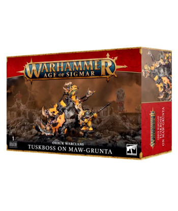 WARHAMMER AGE OF SIGMAR REZIOZ ORRUKS